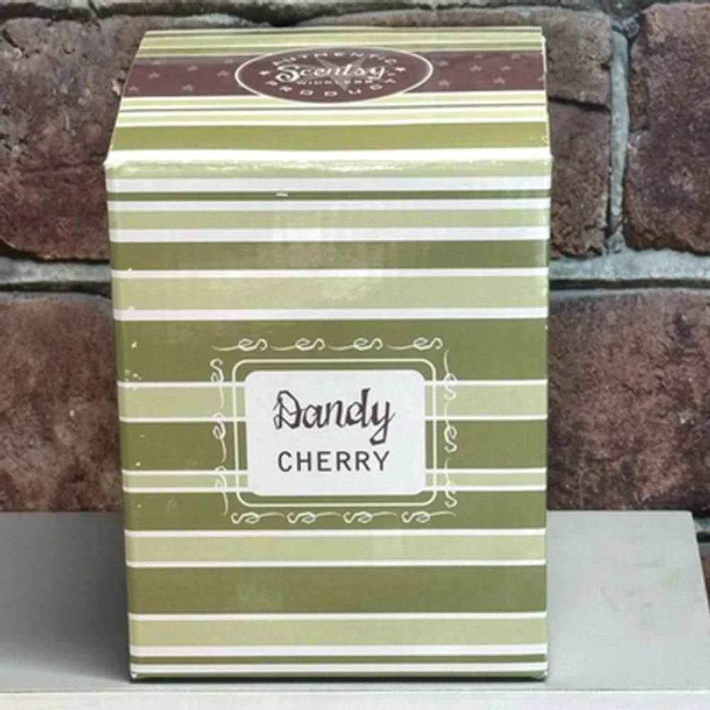 Scentsy DANDY CHERRY Plug-In Wall‎ Nightlight Wax Warmer Red Flowers Retired Box